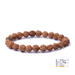 Sulemani Aqeeq & Rudraksh Bracelets Combo- Travelling Energy Protection