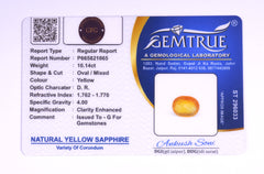10.14 Carat Yellow Sapphire (Pukhraj Stone) - CN 21065