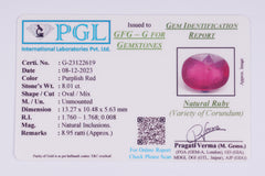 8.01 Carat Ruby (Manik) - CN 22619