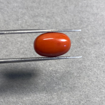 6.84 Carat Natural Red Coral Moonga Oval Shape