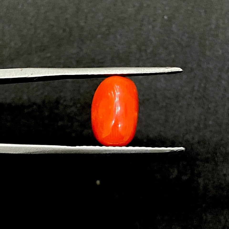 6.05 Carat Oval Red Coral/ Moonga