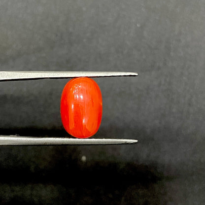 6.05 Carat Oval Red Coral/ Moonga