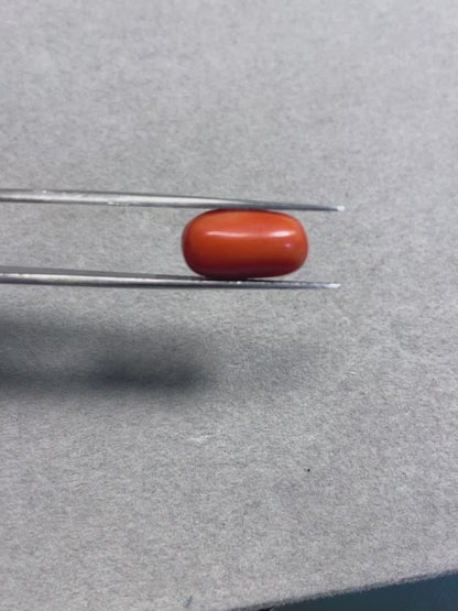 6.69 Carat Natural Red Coral Moonga Oval Shape - Lab Certified