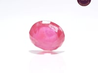 8.49 Carat Ruby (Manik) - CN 84576