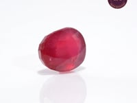 6.03 Carat Ruby (Manik) - CN 22622
