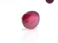 8.01 Carat Ruby (Manik) - CN 22619