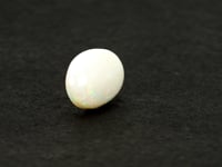 3.25 Carat Natural Opal - 01/09-191