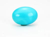 9.31 Carat American Natural Firoza (Turquoise) - 02/09-223