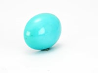 9.81 Carat American Natural Firoza (Turquoise) - 02/09-220