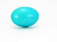 10.43 Carat American Natural Firoza (Turquoise) - 02/09-219