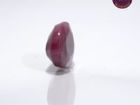 8.02 Carat Natural Ruby (Manik) - CN 40383