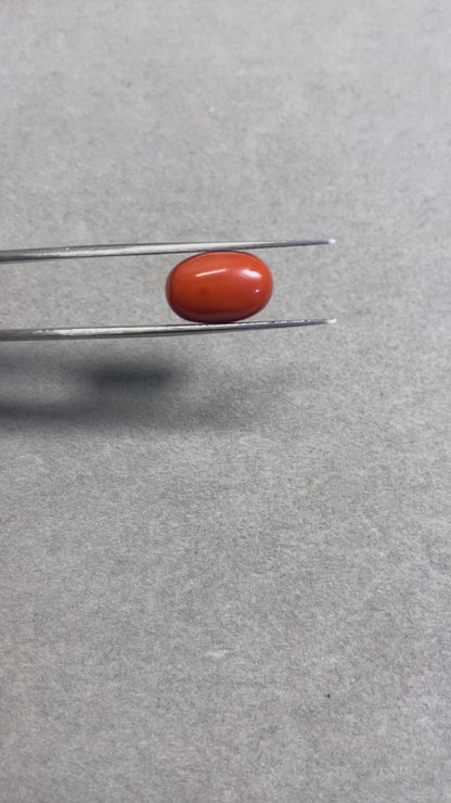 6.84 Carat Natural Red Coral Moonga Oval Shape