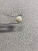5 Carat Freshwater Pearl