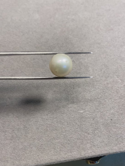 8.13 Carat Natural South Sea Pearl - Sachcha Moti - Lab Certified