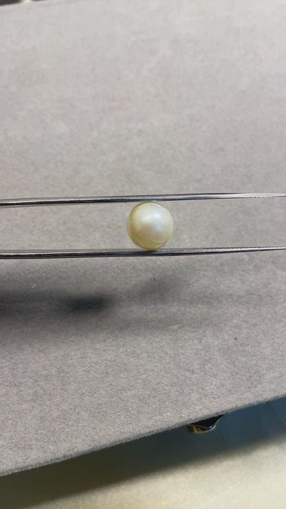 7.9 Carat Natural South Sea Pearl - Sachcha Moti - Lab Certified