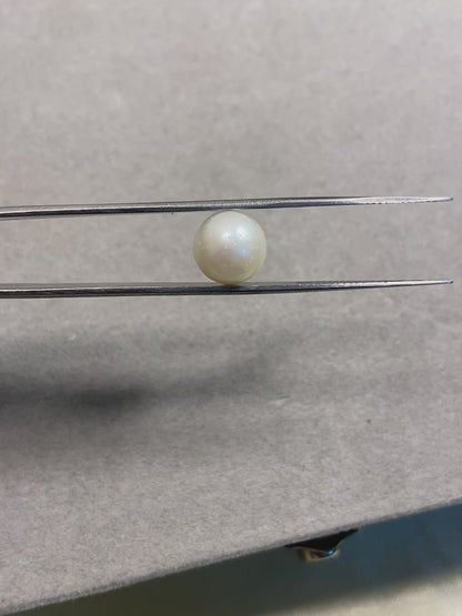 7.31 Carat Natural South Sea Pearl - Sachcha Moti - Lab Certified